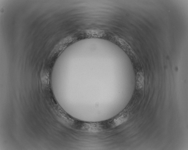 X0000083040713200702161706