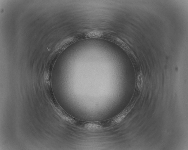 X0000083040714200702161706