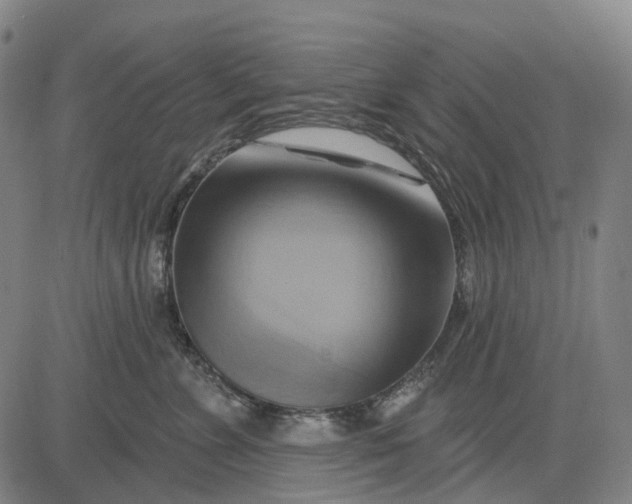 X0000083040715200702161706