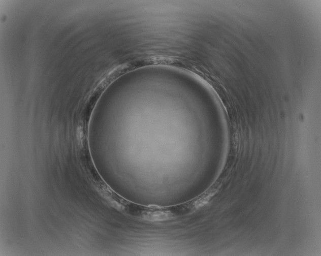 X0000083040716200702161706