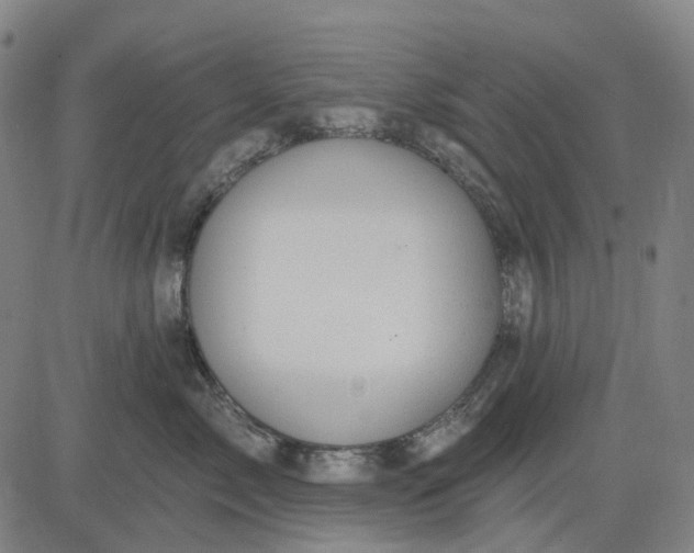 X0000083040717200702161706