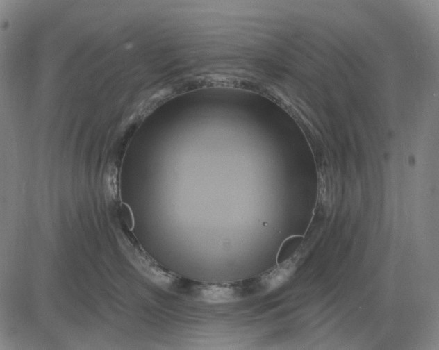 X0000083040718200702161706