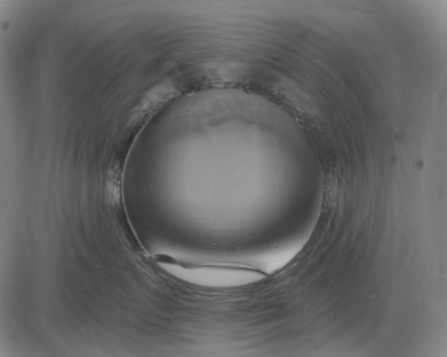 X0000083040719200702161706