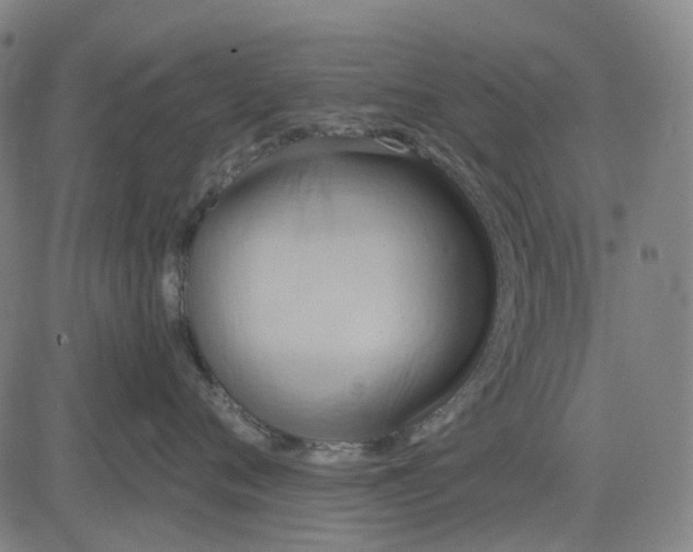 X0000083040720200702161706