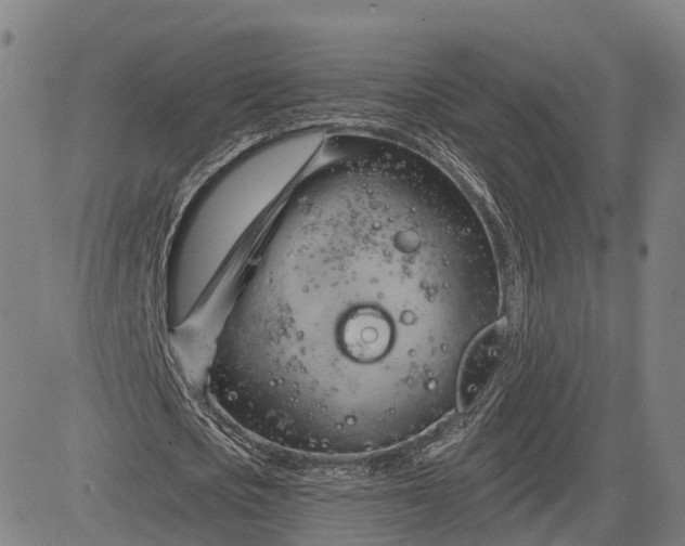 X0000083040721200702161705