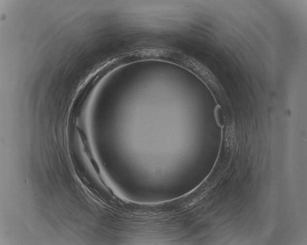 X0000083040722200702161705