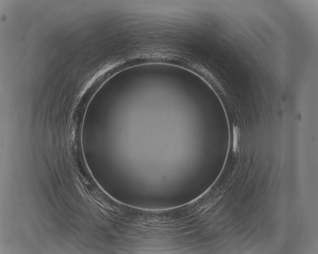 X0000083040723200702161705