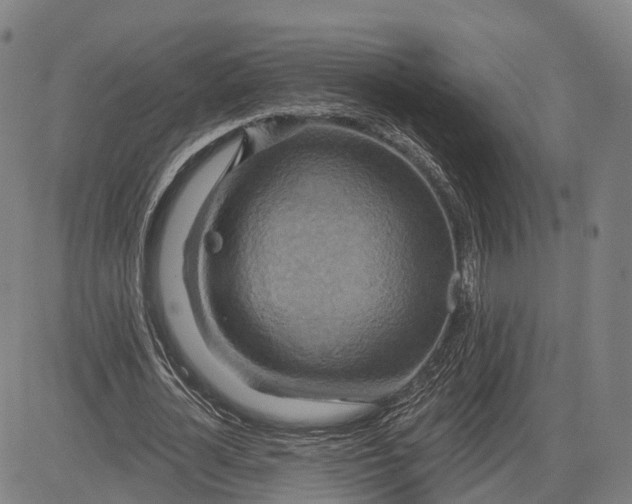 X0000083040724200702161706