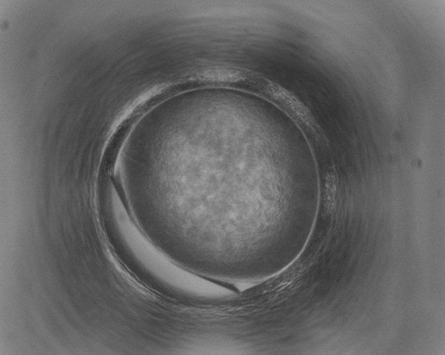 X0000083040726200702161706