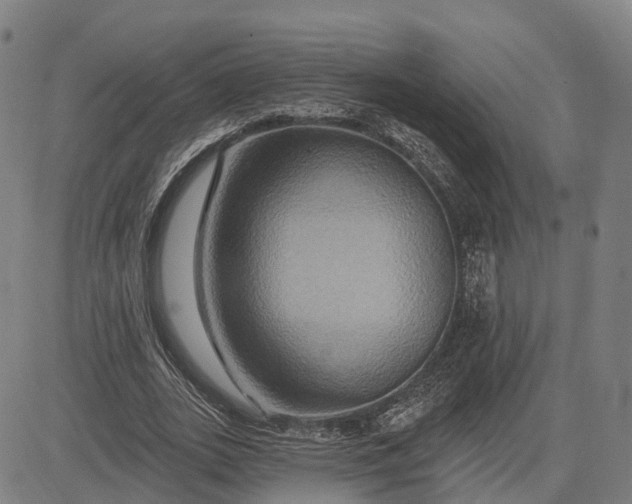 X0000083040727200702161706