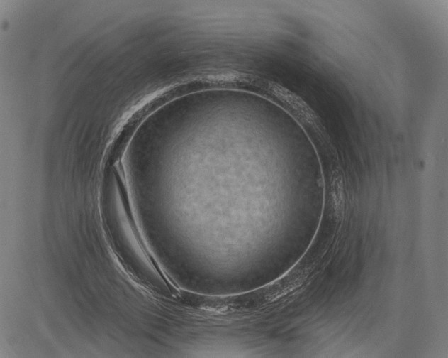 X0000083040728200702161706