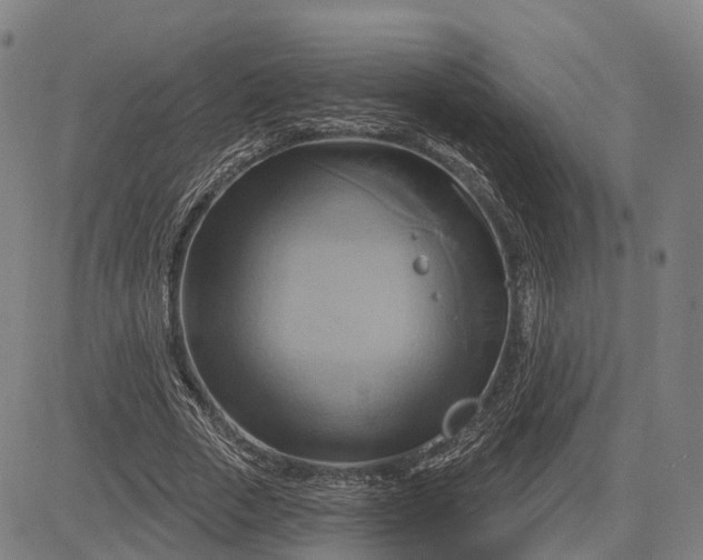 X0000083040729200702161706