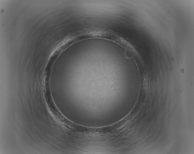 X0000083040730200702161706