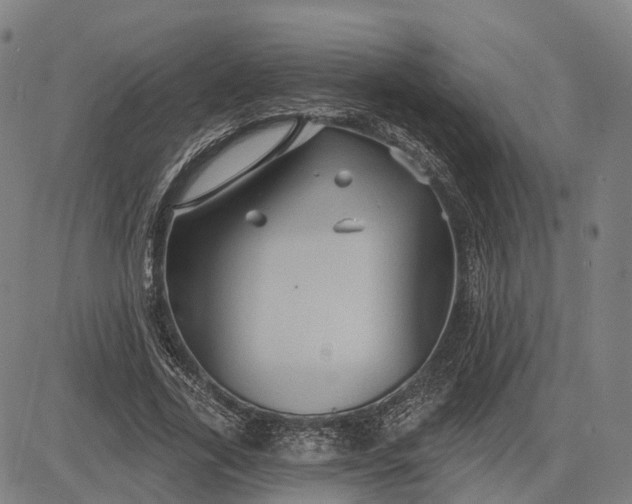 X0000083040731200702161706