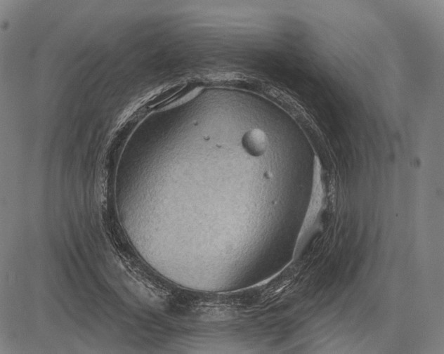 X0000083040732200702161706