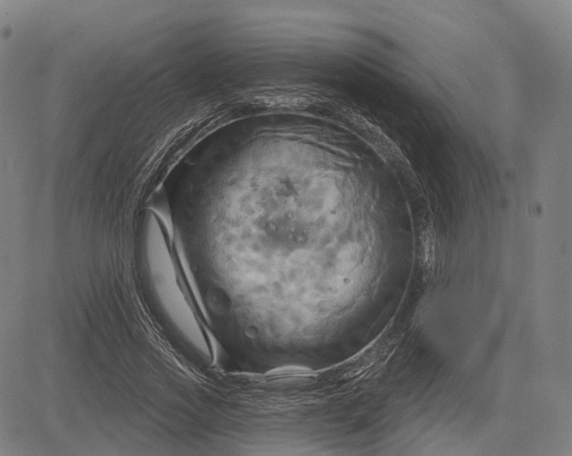 X0000083040733200702161706