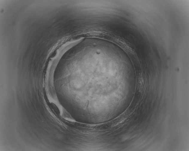 X0000083040734200702161706