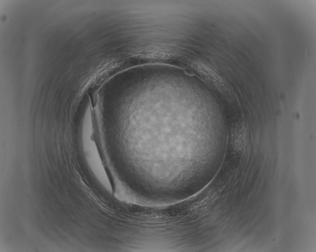 X0000083040735200702161706