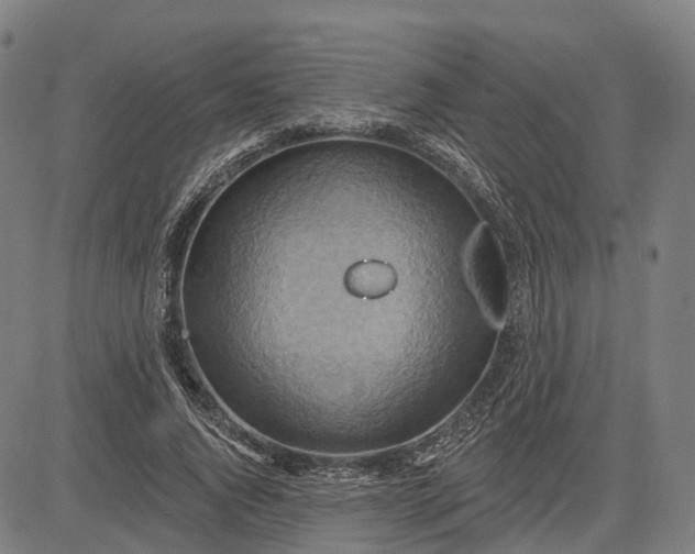 X0000083040736200702161706