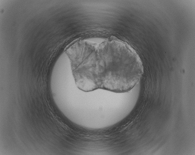 X0000083040737200702161706