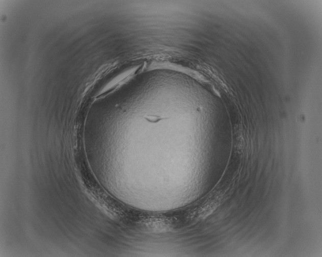 X0000083040738200702161706