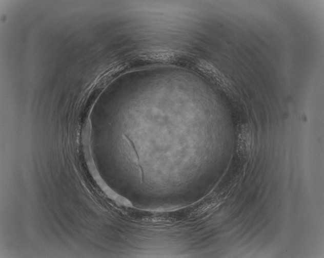 X0000083040739200702161706