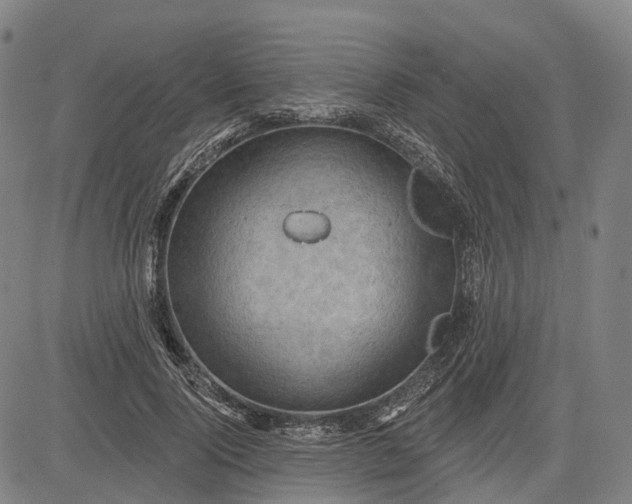 X0000083040740200702161706