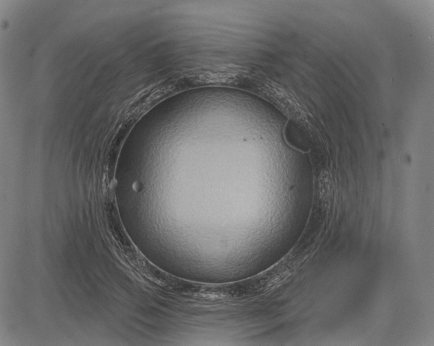 X0000083040741200702161706