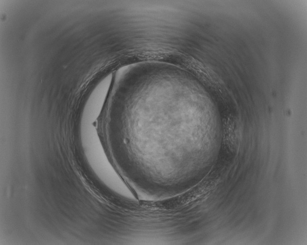 X0000083040742200702161706