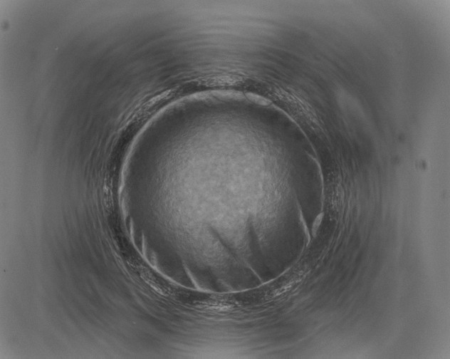 X0000083040743200702161706