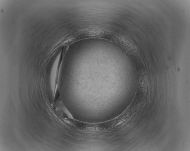 X0000083040744200702161706