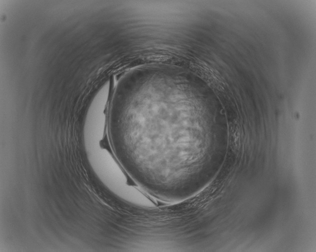 X0000083040745200702161706