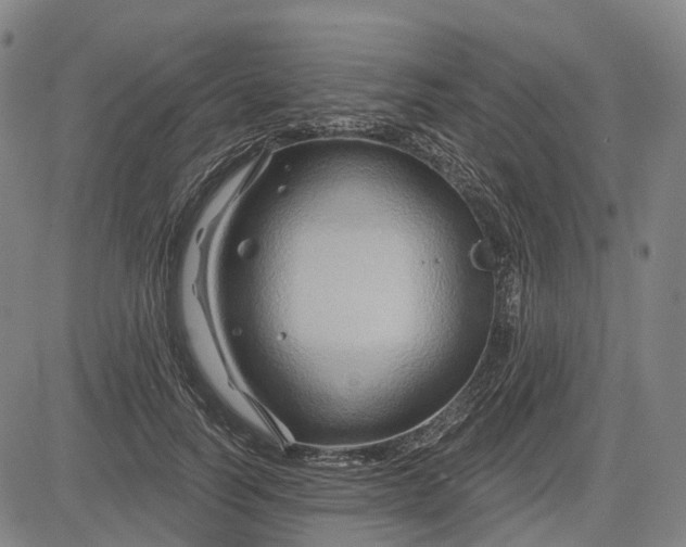 X0000083040746200702161706