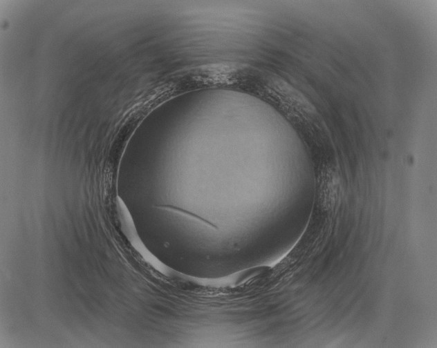 X0000083040747200702161706