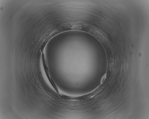 X0000083040748200702161706