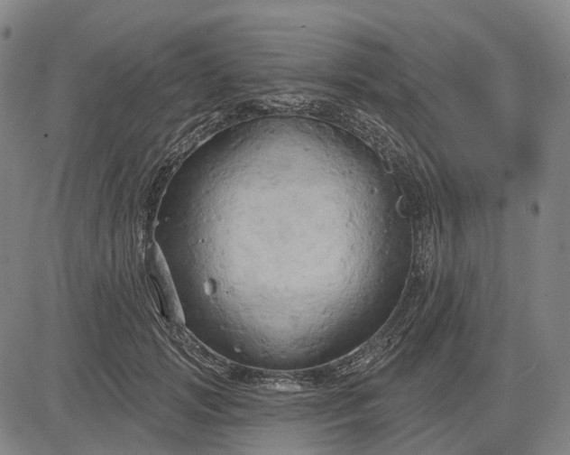 X0000083040749200702161706