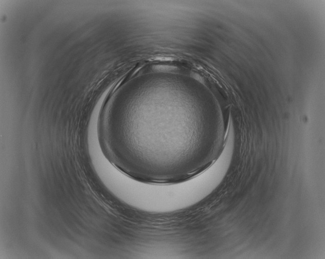 X0000083040750200702161706