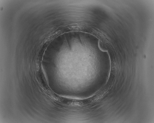 X0000083040751200702161706