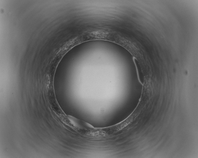 X0000083040752200702161706