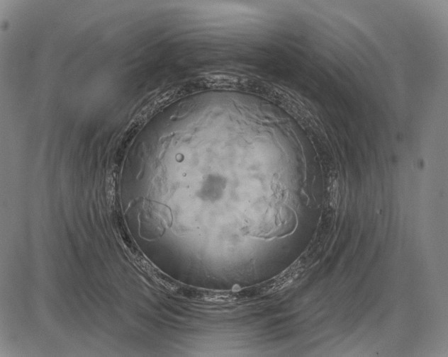 X0000083040753200702161706