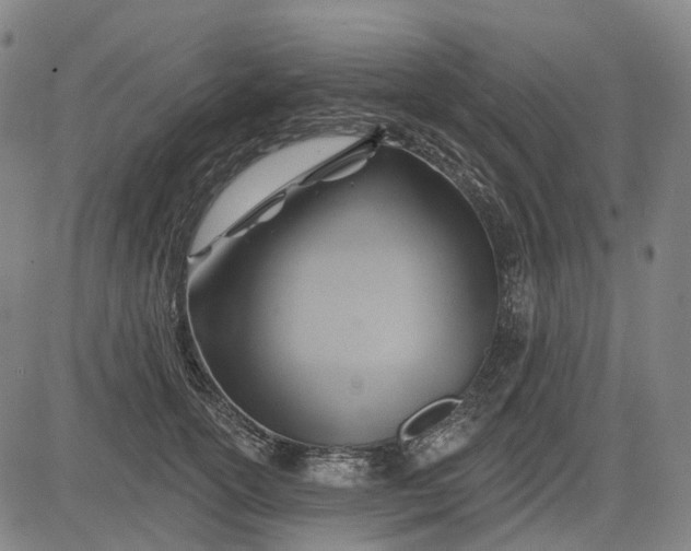 X0000083040754200702161706