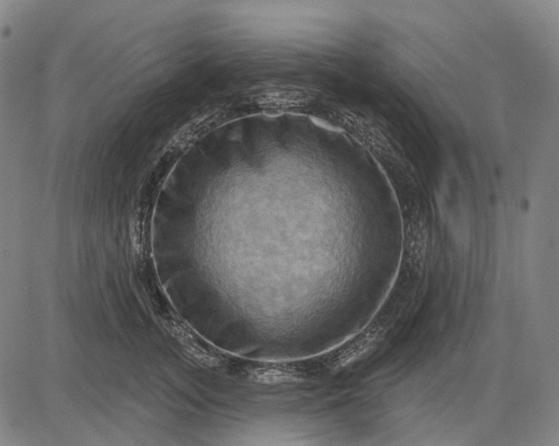 X0000083040755200702161706