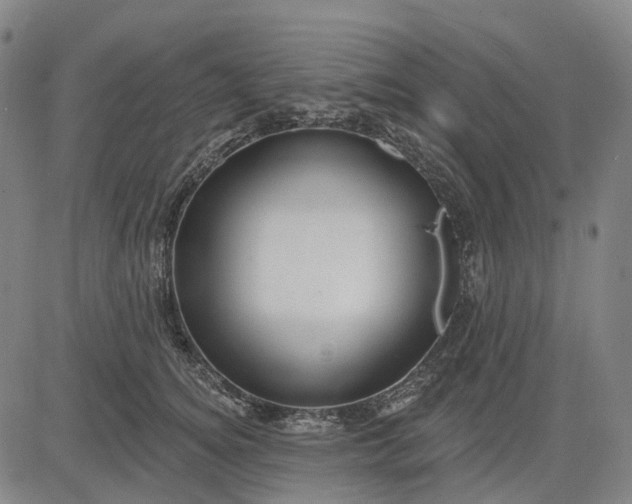 X0000083040756200702161706