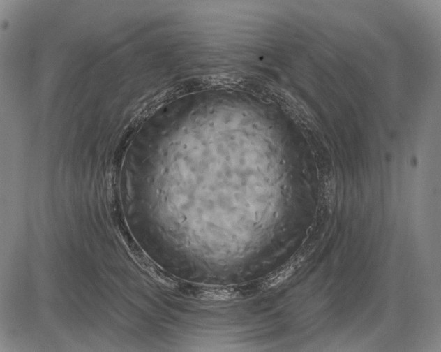 X0000083040757200702161706