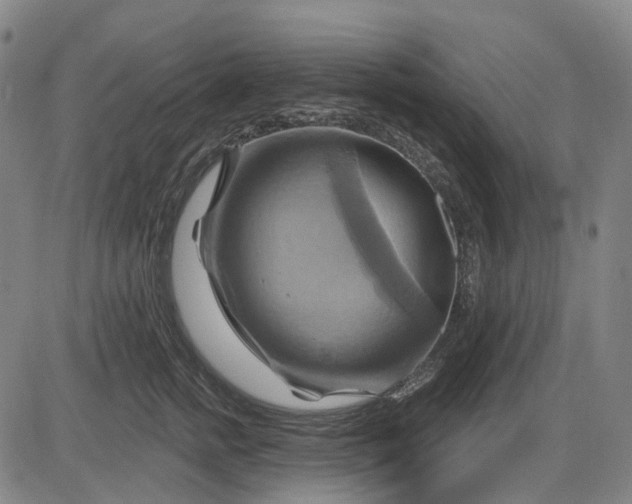 X0000083040758200702161706