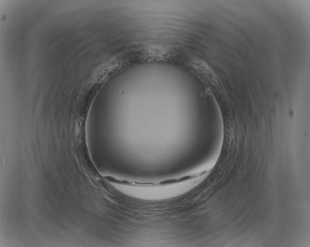 X0000083040759200702161706