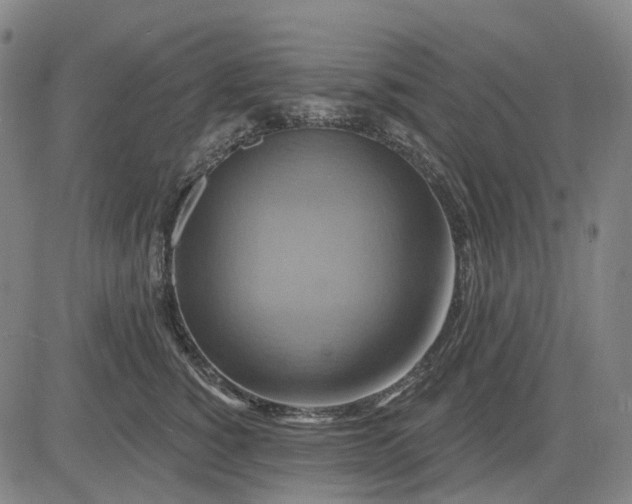 X0000083040760200702161706