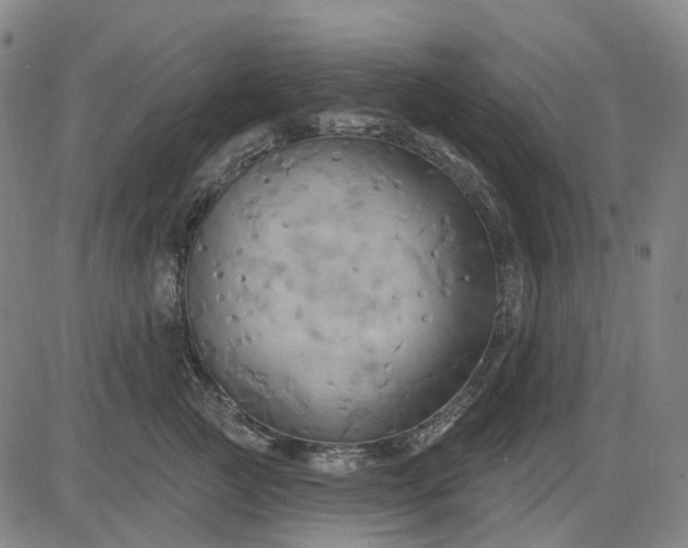 X0000083040761200702161706