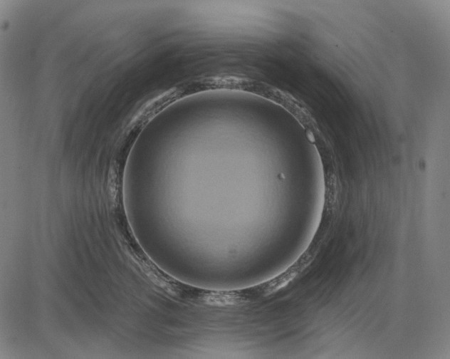 X0000083040762200702161706