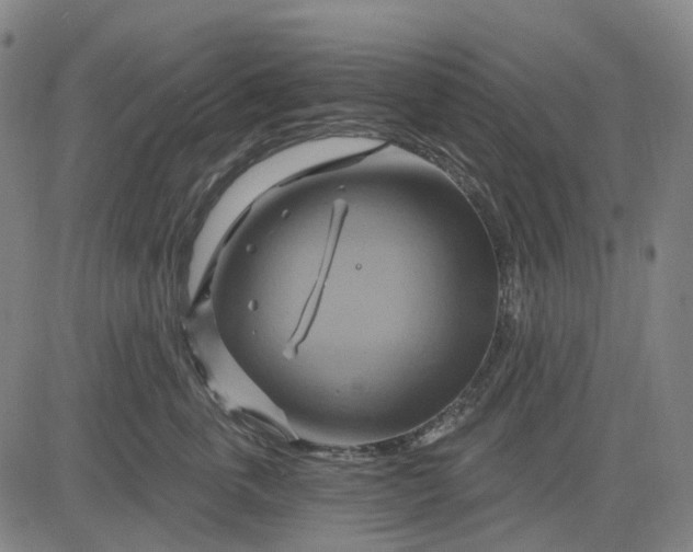 X0000083040763200702161706